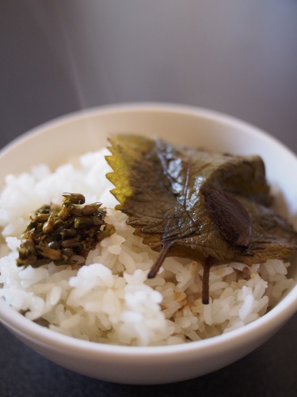 f:id:Chiezaru:20131216165533j:image