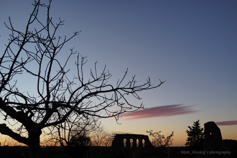 f:id:Chiezaru:20150102180213j:image