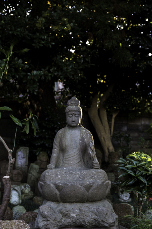 f:id:Chiezaru:20151114170056j:image