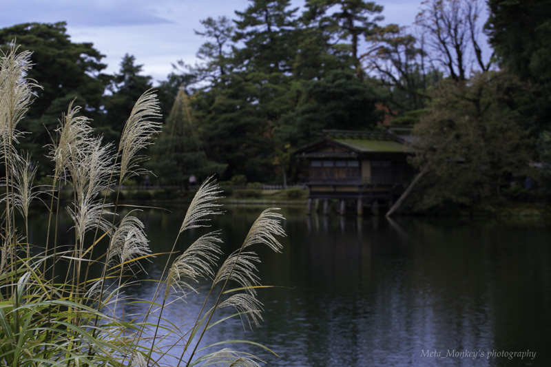 f:id:Chiezaru:20151116164802j:image