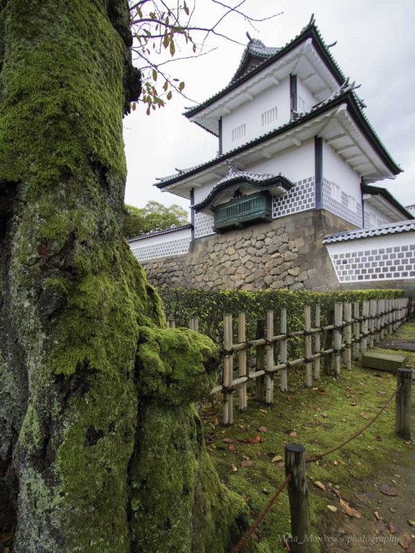 f:id:Chiezaru:20151118171108j:image