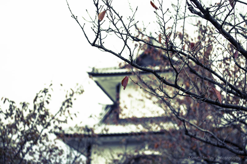 f:id:Chiezaru:20151118171426j:image