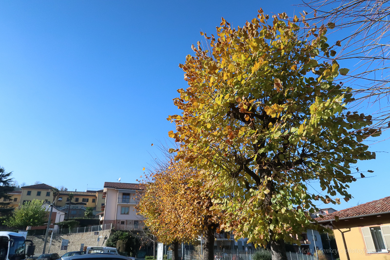 f:id:Chiezaru:20171206164932j:image
