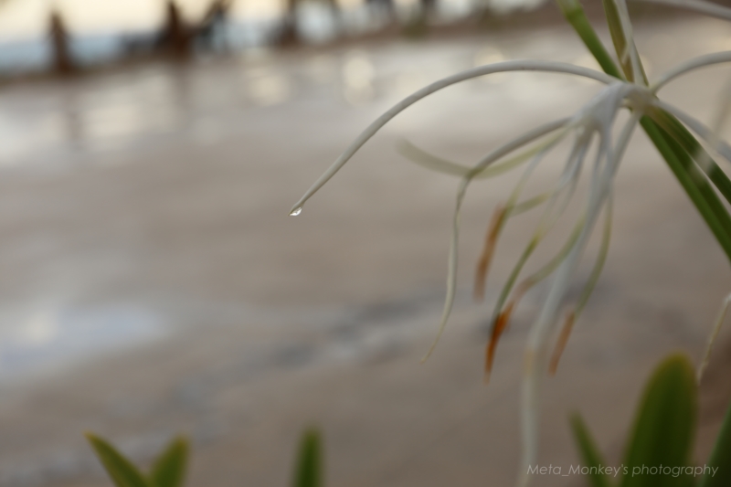 f:id:Chiezaru:20190425155841j:plain
