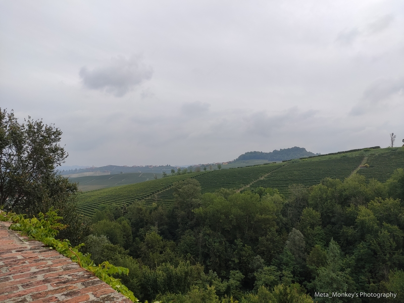 f:id:Chiezaru:20191023153541j:plain f:id:Chiezaru:20191023153541j:plain