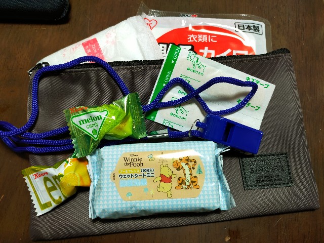f:id:Chihiromama:20240108161313j:image