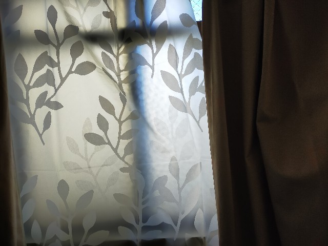 f:id:Chihiromama:20240129133357j:image f:id:Chihiromama:20240129133357j:image