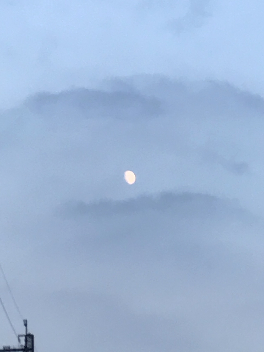 f:id:Chikasan:20190918202747j:plain