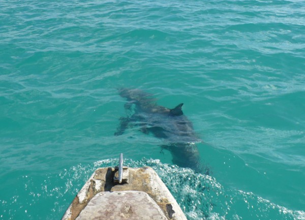 f:id:Chikirin:20100508114128j:image