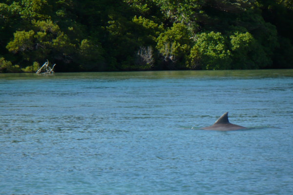 f:id:Chikirin:20100508114130j:image