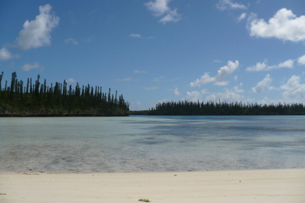 f:id:Chikirin:20100508114139j:image