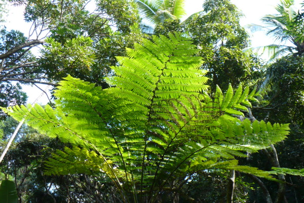 f:id:Chikirin:20100508114143j:image