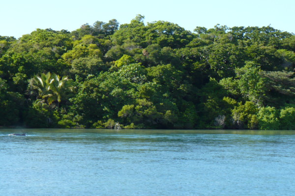 f:id:Chikirin:20100508130347j:image