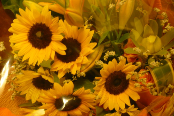 f:id:Chikirin:20100903234414j:image:w360