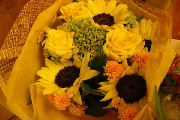 f:id:Chikirin:20100903234446j:image:w360