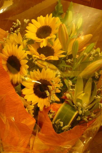 f:id:Chikirin:20100903234454j:image:w360