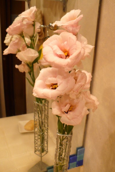 f:id:Chikirin:20100904161636j:image