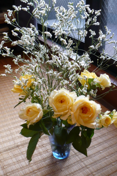 f:id:Chikirin:20100904161643j:image