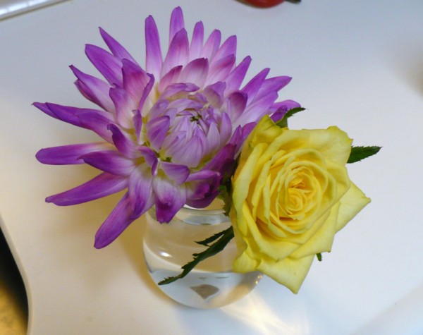 f:id:Chikirin:20100904161732j:image