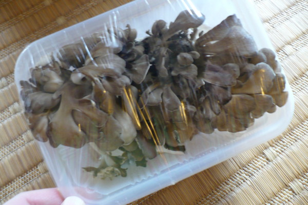 f:id:Chikirin:20100906111715j:image:w400