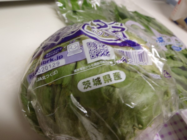 f:id:Chikirin:20110327172657j:image