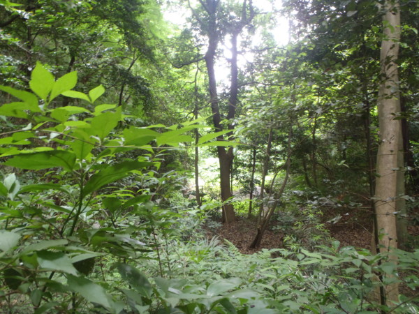 f:id:Chikirin:20110703181024j:image