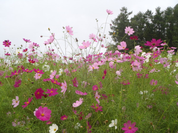f:id:Chikirin:20110906113439j:image f:id:Chikirin:20110906113439j:image