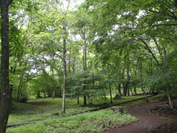 f:id:Chikirin:20110906113441j:image f:id:Chikirin:20110906113441j:image