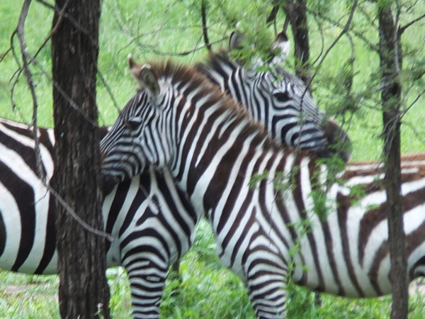 f:id:Chikirin:20120503003538j:image:w400