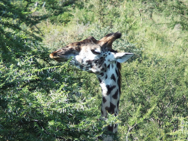 f:id:Chikirin:20120504032842j:image:w400 f:id:Chikirin:20120504032842j:image:w400