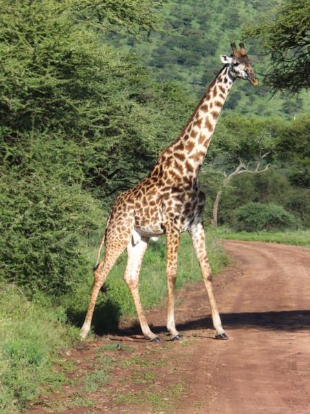 f:id:Chikirin:20120504032848j:image:w400 f:id:Chikirin:20120504032848j:image:w400