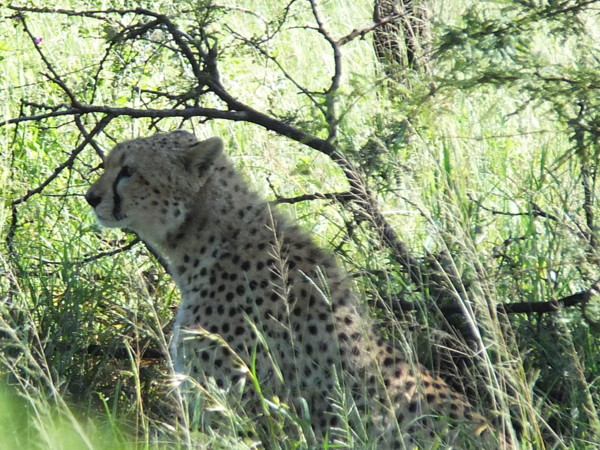 f:id:Chikirin:20120506155716j:image:w500