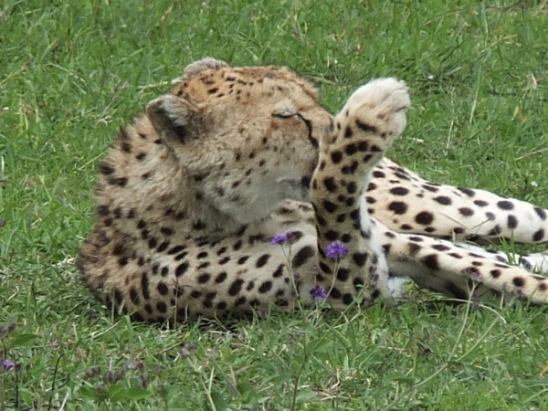 f:id:Chikirin:20120506155720j:image:w500