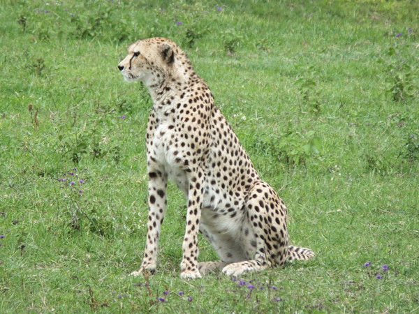 f:id:Chikirin:20120506155723j:image:w500