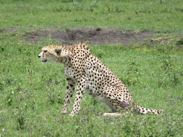 f:id:Chikirin:20120506155724j:image:w500