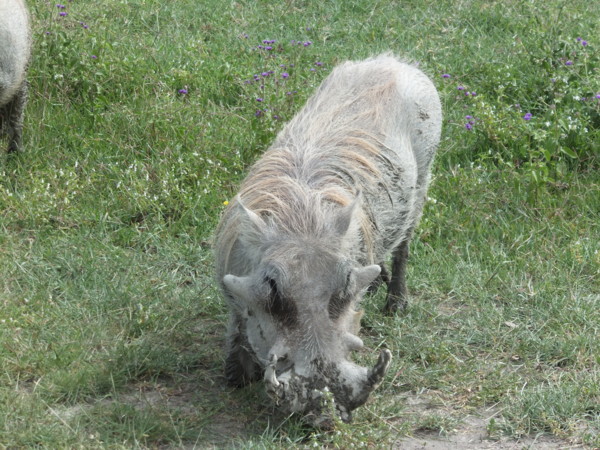 f:id:Chikirin:20120512222743j:image:w400