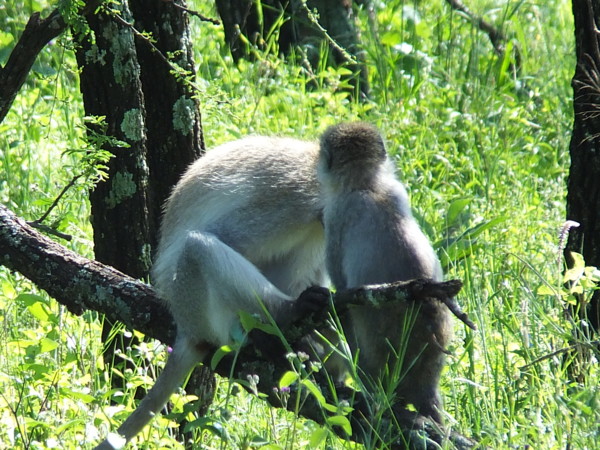 f:id:Chikirin:20120512222745j:image:w400