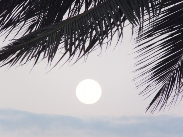 f:id:Chikirin:20120524091305j:image:w400