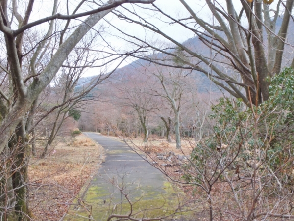 f:id:Chikirin:20131212145236j:image:w450