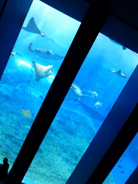 f:id:Chikirin:20140331215217j:image:w400
