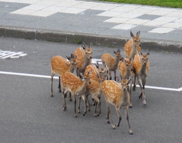 f:id:Chikirin:20141015000221j:image:w450