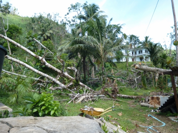 f:id:Chikirin:20150629183504j:image:w550