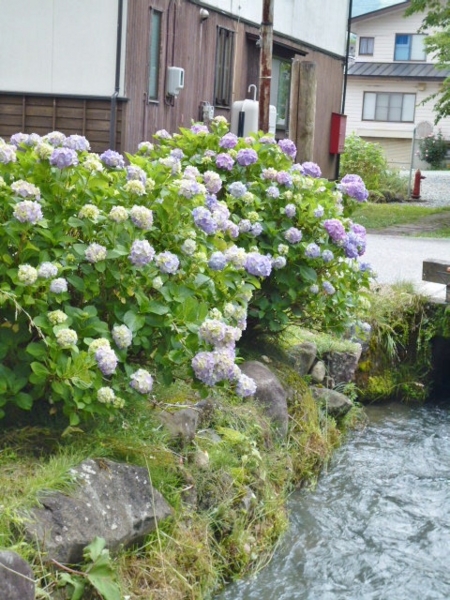 f:id:Chikirin:20150717010759j:image:w400