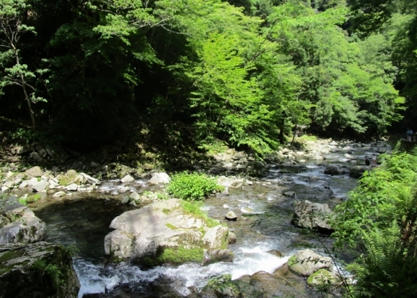 f:id:Chikirin:20180603035710j:image:w450