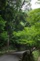 [*PENTAX-DA 12-24mmF4 ED][風景]箕面公園