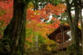 [TAMRON A09][京都][紅葉]山城高雄にて