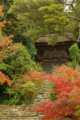 [TAMRON A09][京都][紅葉]