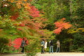 [TAMRON A09][京都][紅葉]