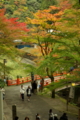 [TAMRON A09][京都][紅葉]