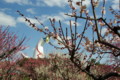 [TAMRON A09]万博公園の梅